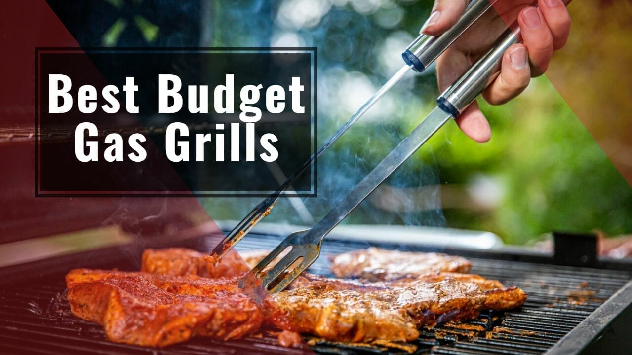 5 Best Budget Gas Grills in 2024