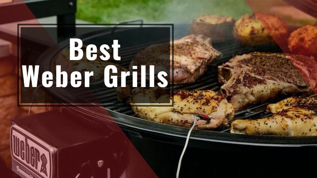 9 Best Weber Grills Reviews in 2024